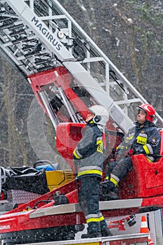 Firefighters cutting branches of a tree