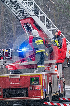Firefighters cutting branches of a tree
