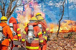 Firefighters with equipment in forest