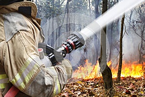 Firefighters helped battle a wildfire photo