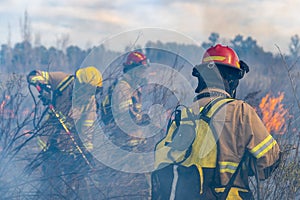 Firefighters put out a fire in the forest