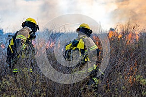 Firefighters put out a fire in the forest