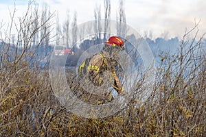 Firefighters put out a fire in the forest