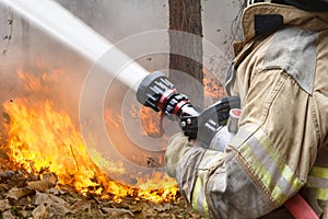 Firefighters spray water to bushfire