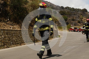 Firefighters on work on forest fireblaze