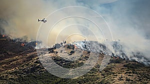 Firefighting helicopter drop water on forest fire