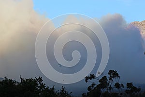 Firefighting helicopter in a large cloud of smoke