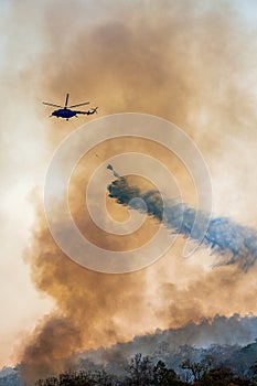 Firefithing helicopter dumps water on forest fire photo