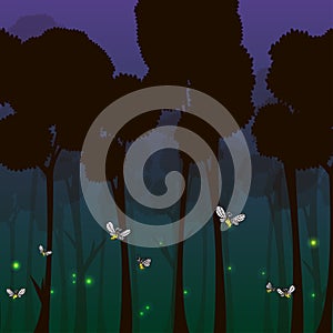 Fireflies in the forest at night