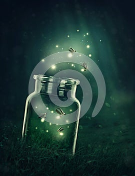 Fireflies leaving the glass