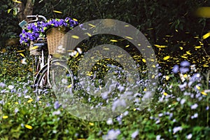 Fireflies surrounding a bicycle in the bush and woods