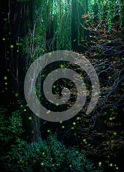 Firefly forest, flock of glow-worms among plants