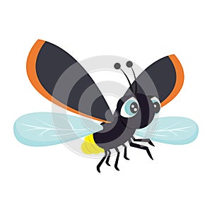 Firefly Lightning Bug Glow Worm isolated vector illustration graphic