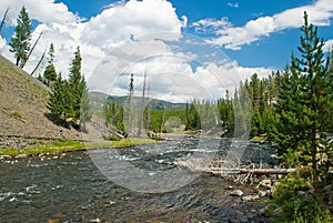 Firehole Creek