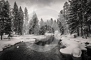 Firehole river, Yellowstone