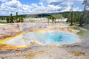 Firehole Spring hydrothermal area in the Great Fountain Group, Yellowstone National Park, USA