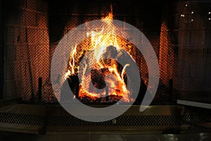 Firelight Burning Bright