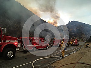 Fireman Fighting Brush Fire, Firefighters