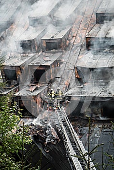 Fireman on ladder