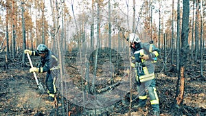 Firemen are damping down and shoveling the trees