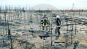 Firemen are discussing the forest fire zone