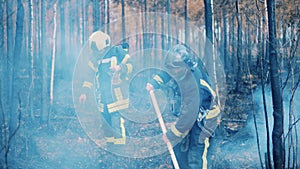 Firemen are extinguishing residual fire in the woods