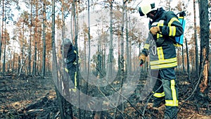 Firemen are smothering the forest ground