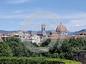 Firenze- Cupola del Brunelleschi vista dal giardino di Palazzo Pitti