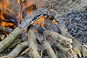 Fireplace in bee-garden