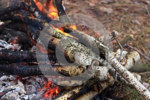 Fireplace with charred logs and smoke and flame in forest closeup. Wood and charcoal ash in bonfire.