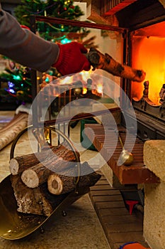 Fireplace and Christmas tree