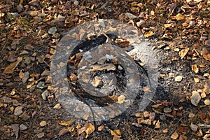 Fireplace and fallen yellow autumn leaves