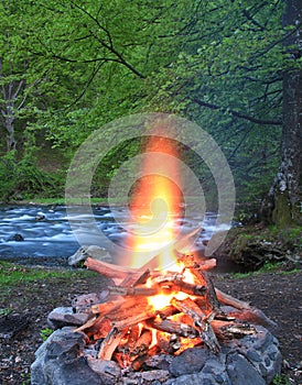 Fireplace in the forest