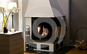 Fireplace inside home burning wood