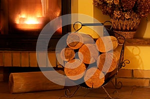 Fireplace and logs