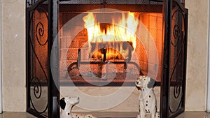 Fireplace logs burning background