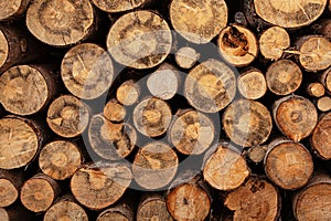 Fireplace wood logs texture