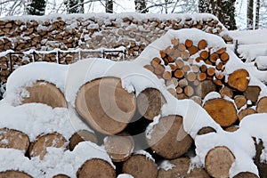 Fireplace wood in snow