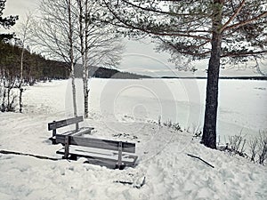 Fireplace with wooden benches in winterly northern Sweden