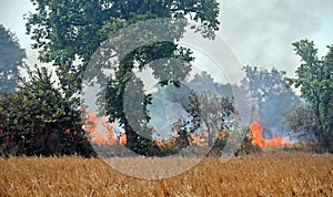 Fires burn the crops near Cambodian Killing Fields