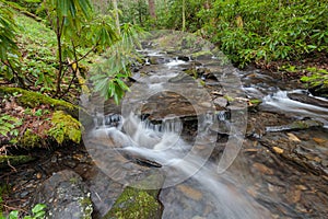 Fires Creek, Nantahala National Forest