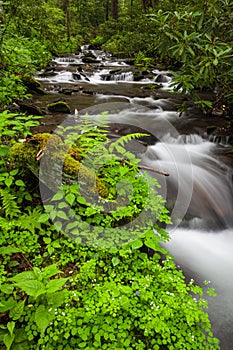 Fires Creek, Nantahala National Forest