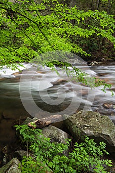 Fires Creek, Nantahala National Forest