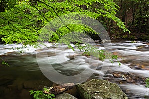 Fires Creek, Nantahala National Forest