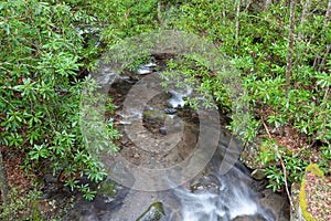 Fires Creek, Nantahala National Forest, C