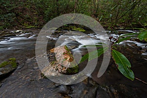 Fires Creek, Nantahala National Forest, NC