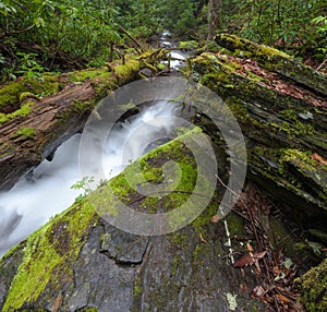 Fires Creek, Nantahala National Forest, NC