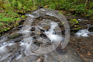 Fires Creek, Nantahala National Forest, NC