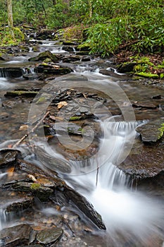 Fires Creek, Nantahala National Forest, NC