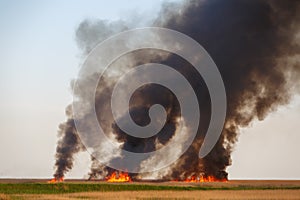 Fires destroy the dried up fields of the old cane in the quiet summer weather